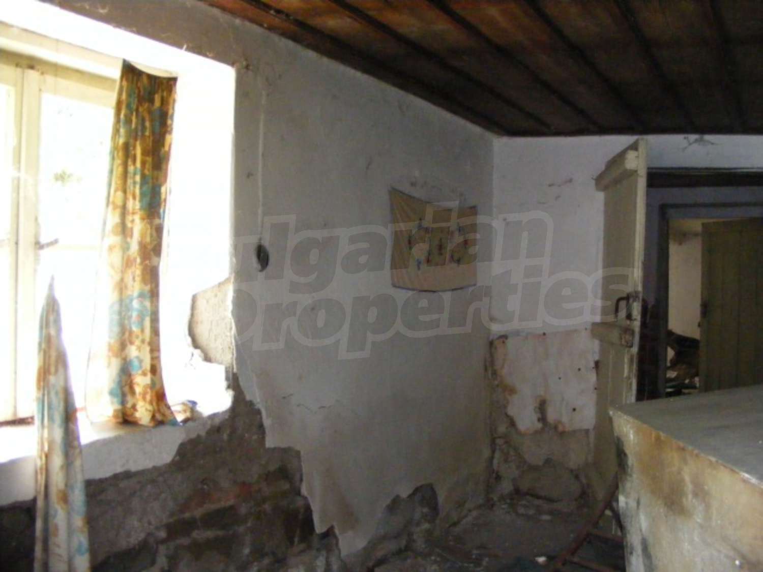 Gallery Picture 5