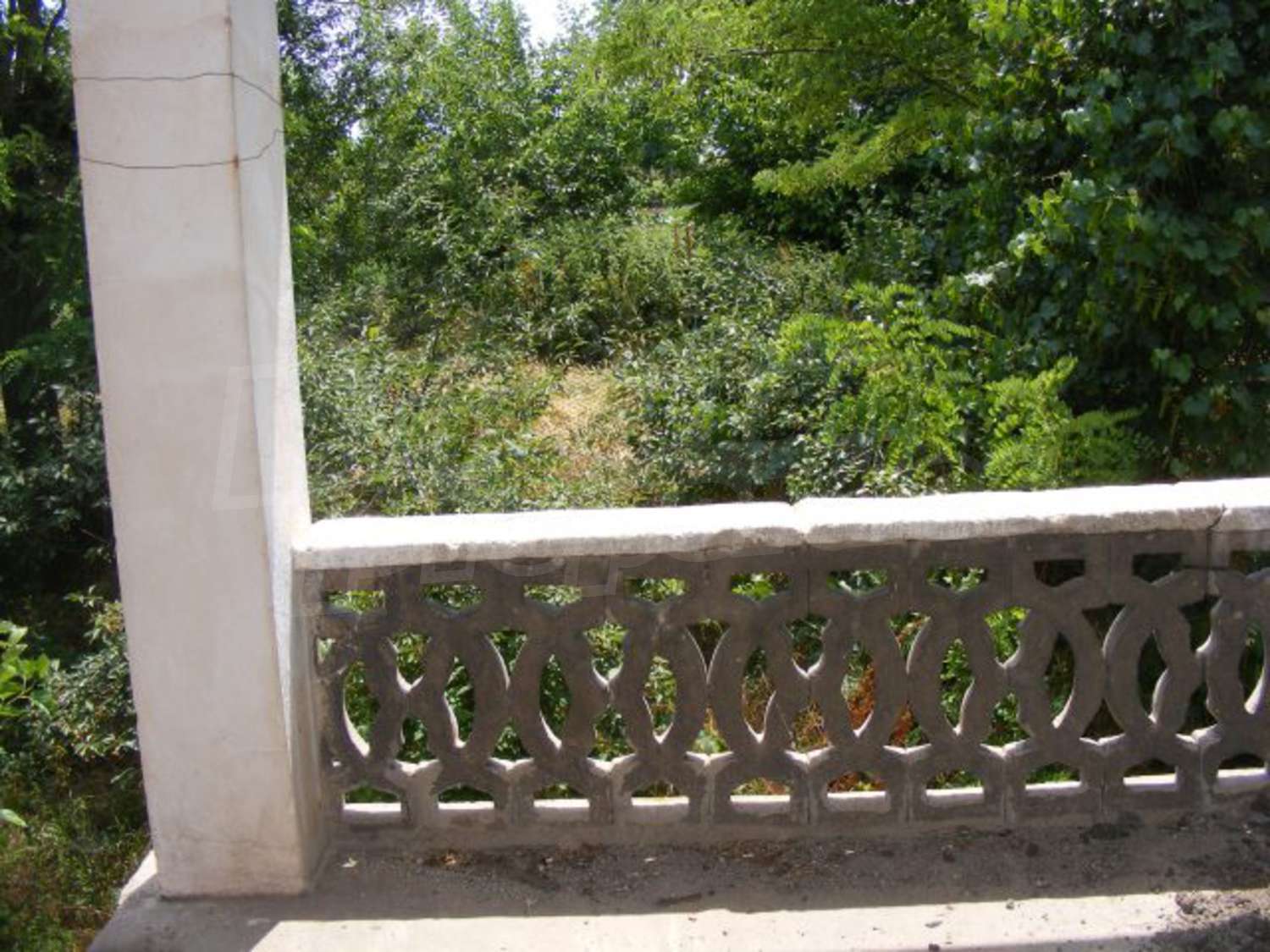 Gallery Picture 7