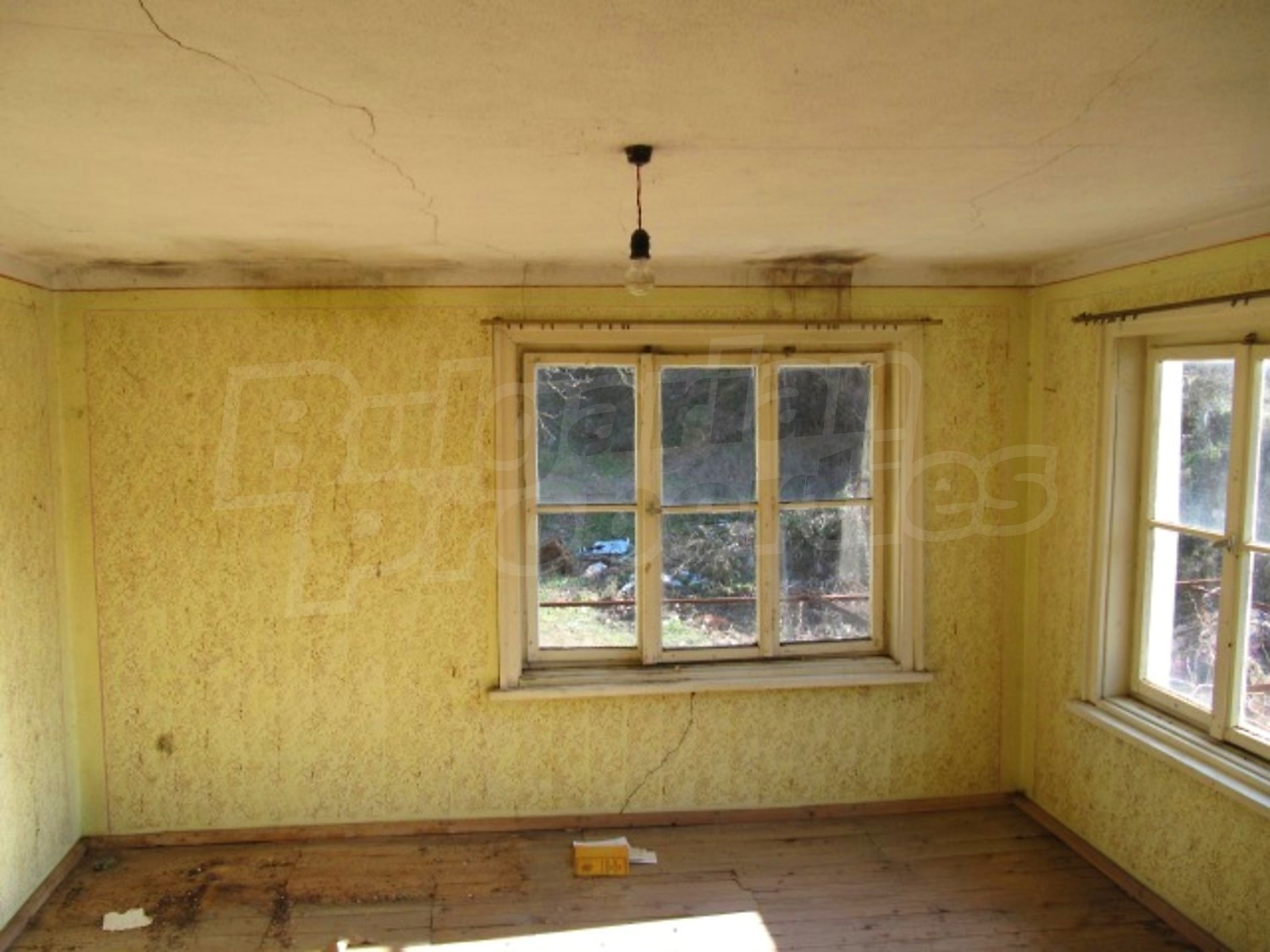 Gallery Picture 10
