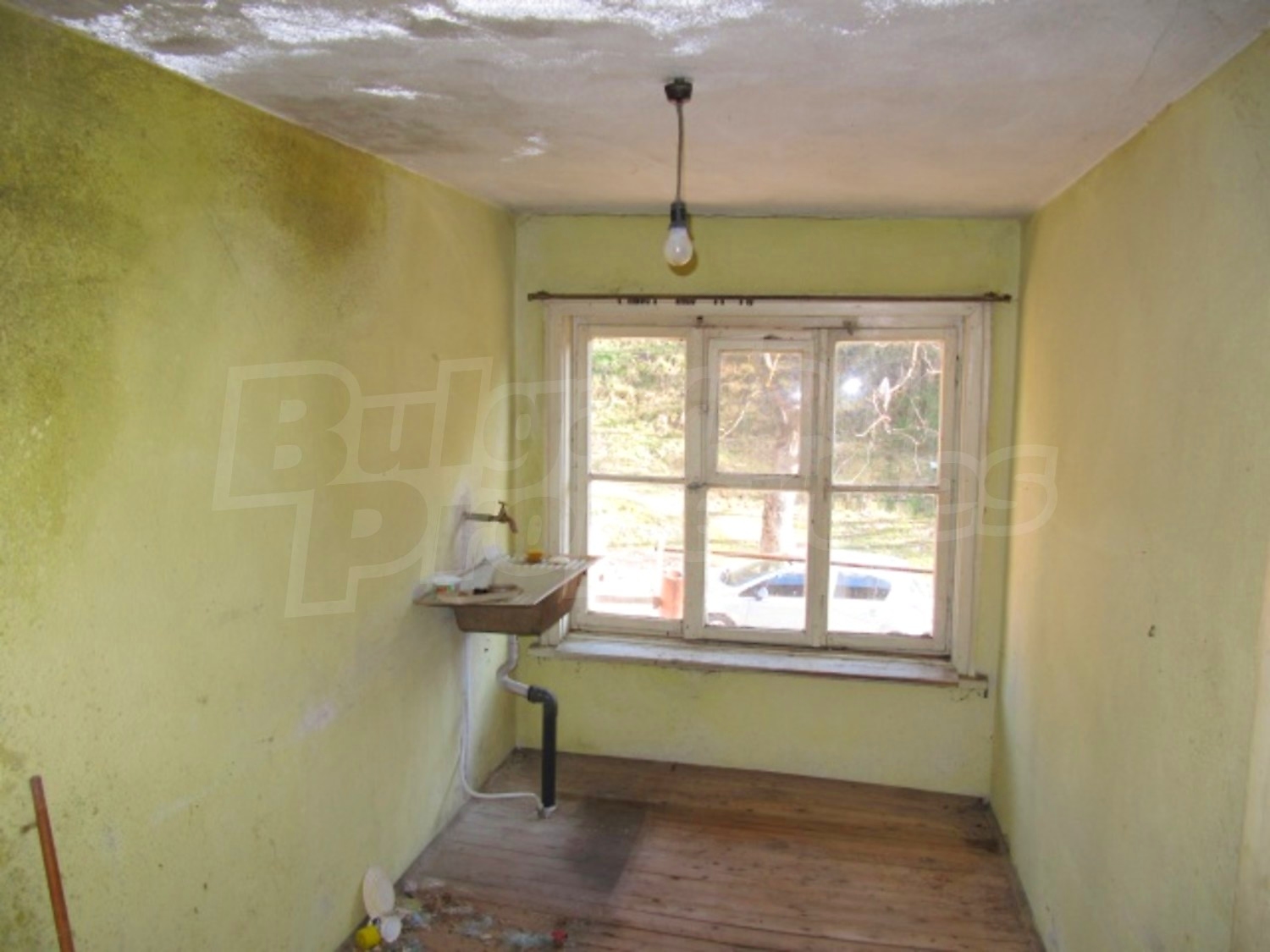 Gallery Picture 12