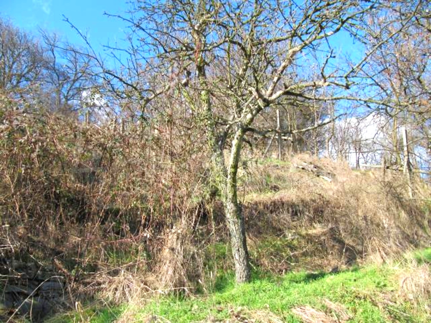Gallery Picture 16
