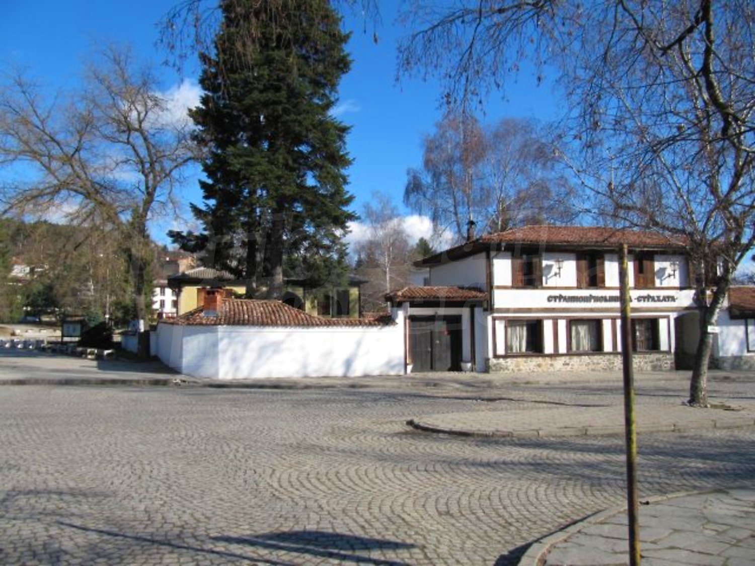 Gallery Picture 19