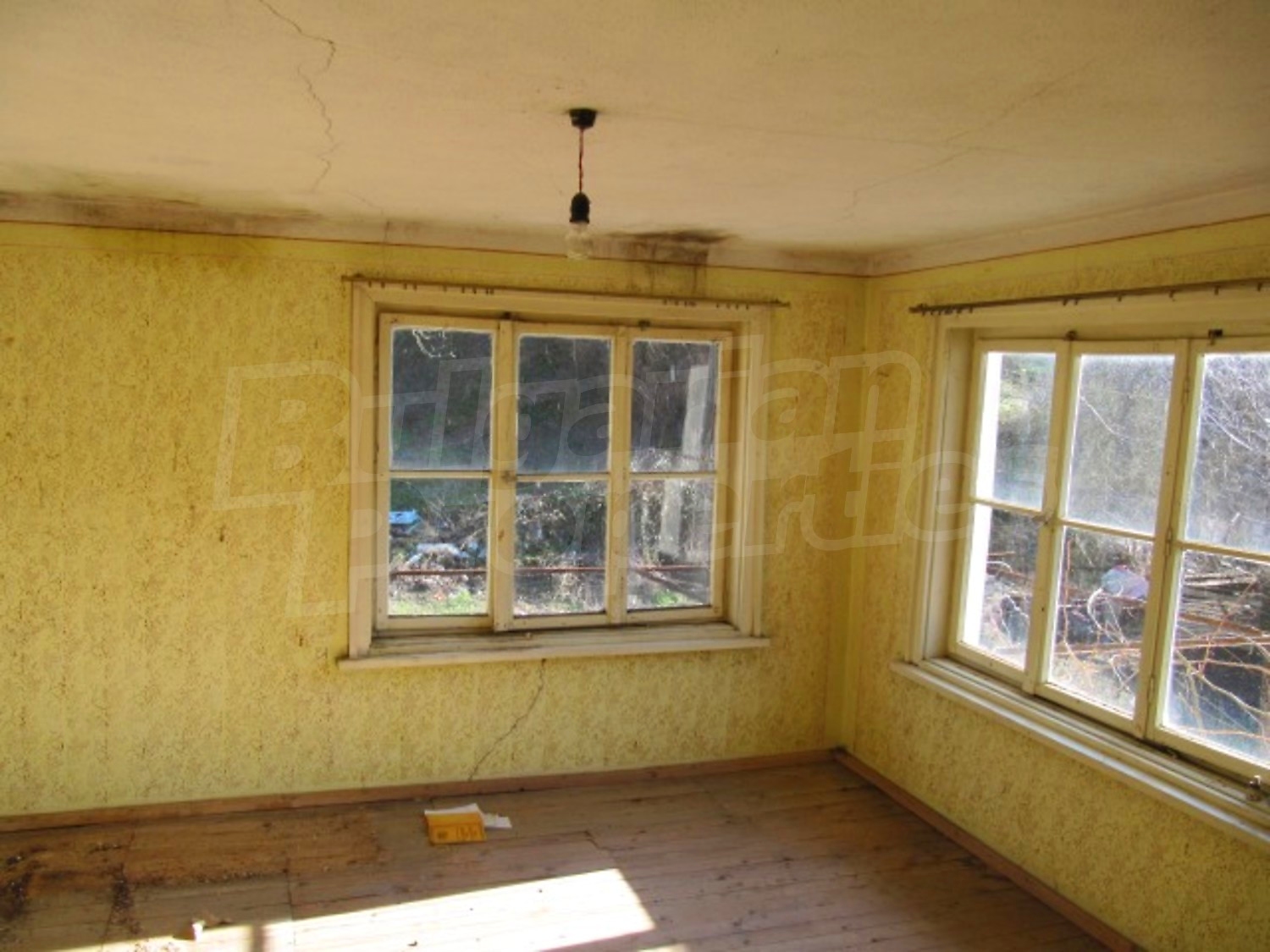 Gallery Picture 9