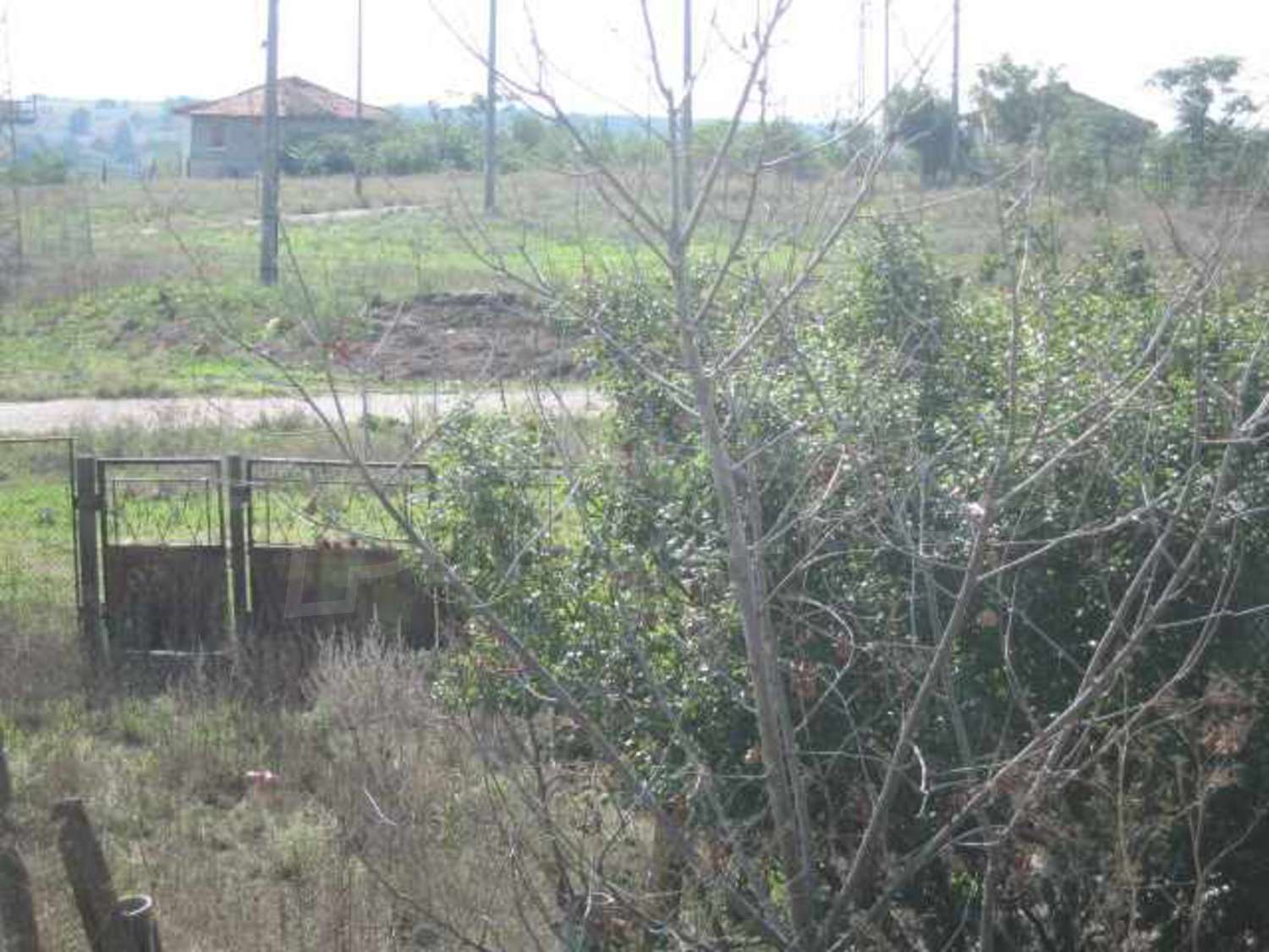 Gallery Picture 10