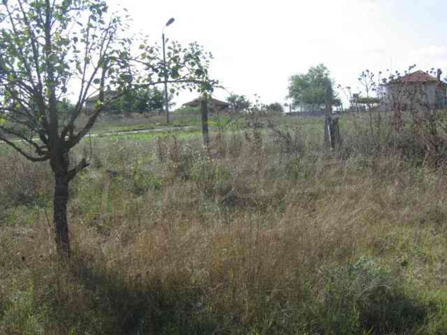 Gallery Picture 5