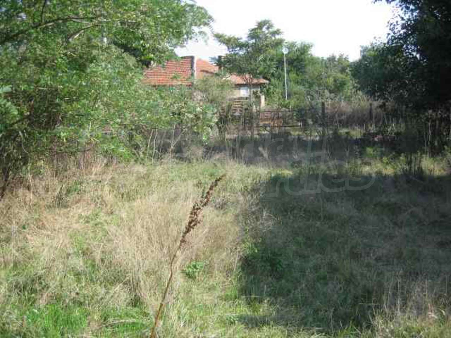Gallery Picture 7