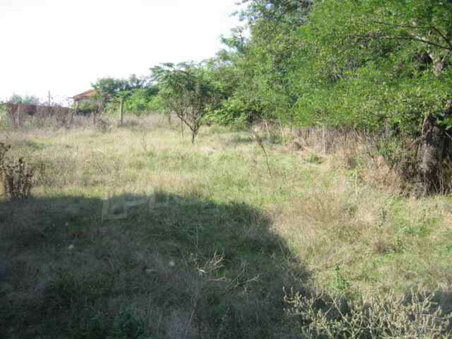 Gallery Picture 8
