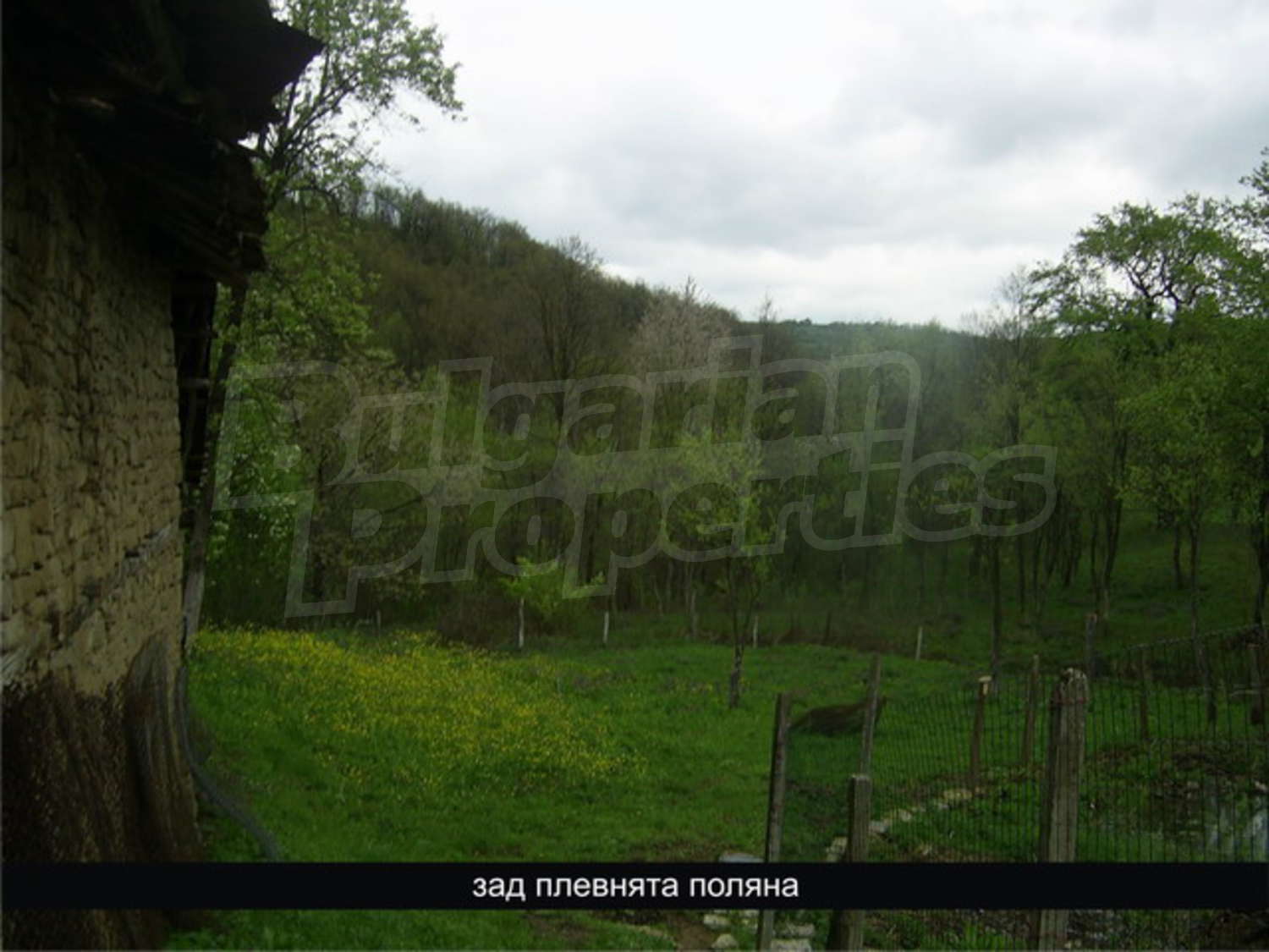 Gallery Picture 26