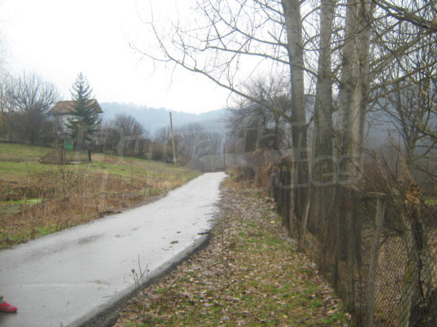 Gallery Picture 4