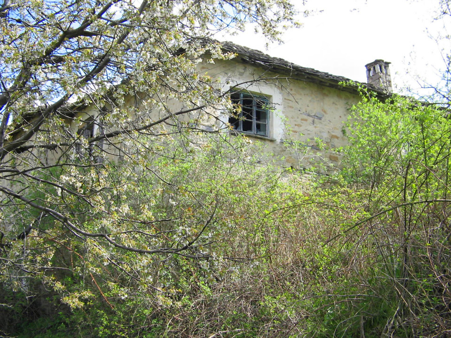 Gallery Picture 2
