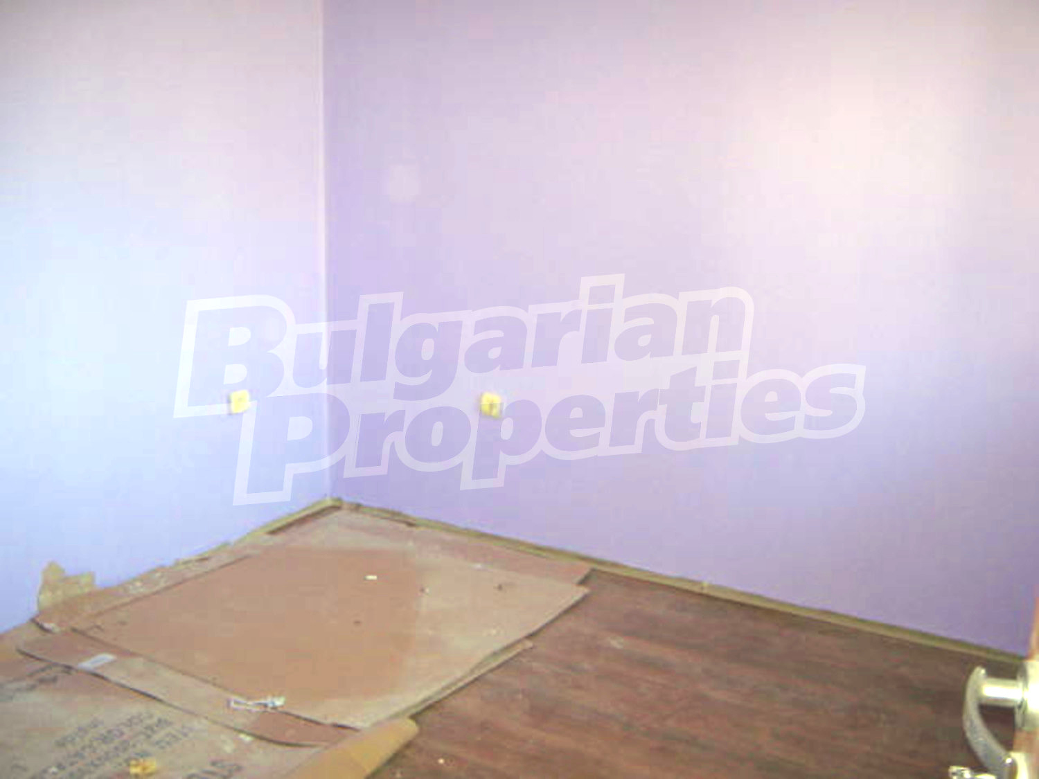 Gallery Picture 8