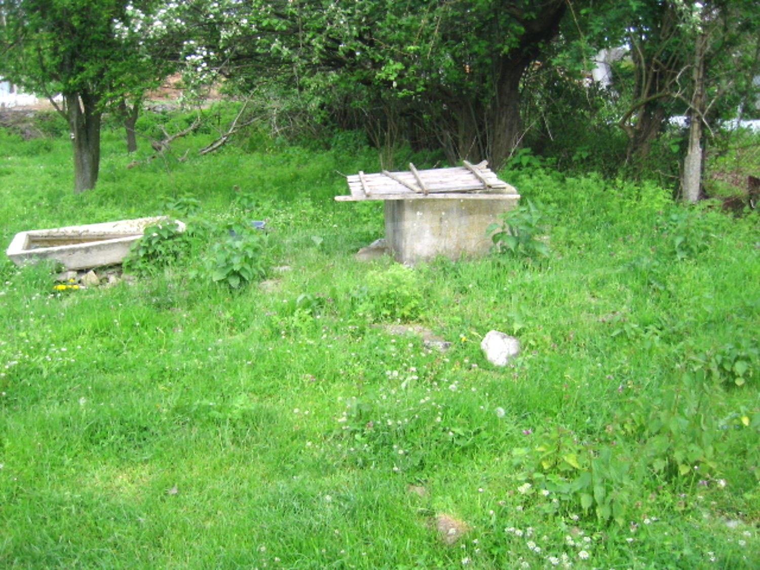 Gallery Picture 10