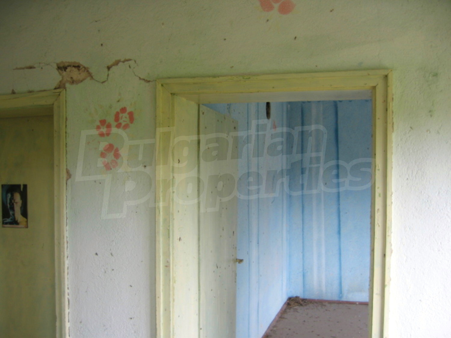 Gallery Picture 18