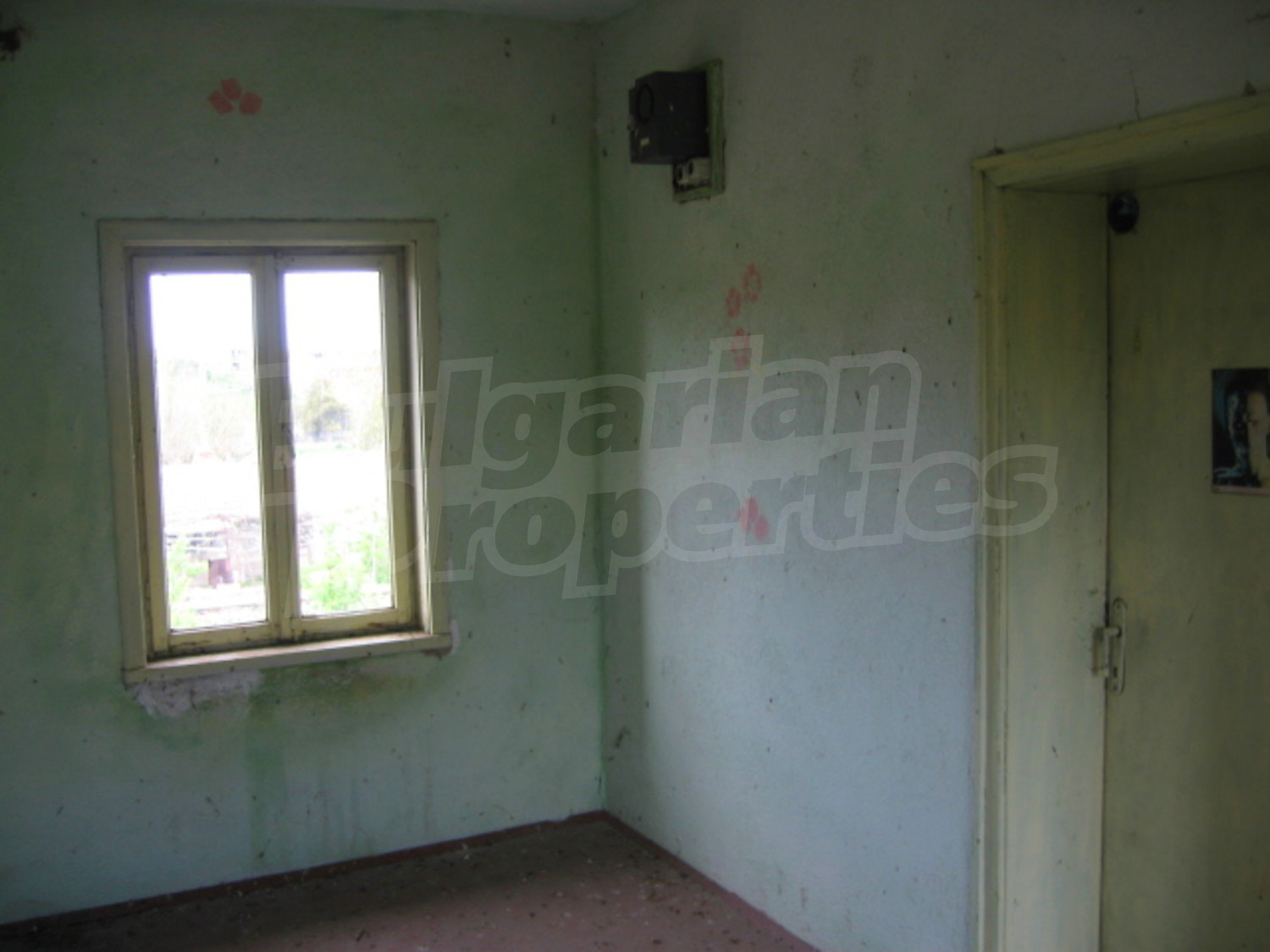 Gallery Picture 19