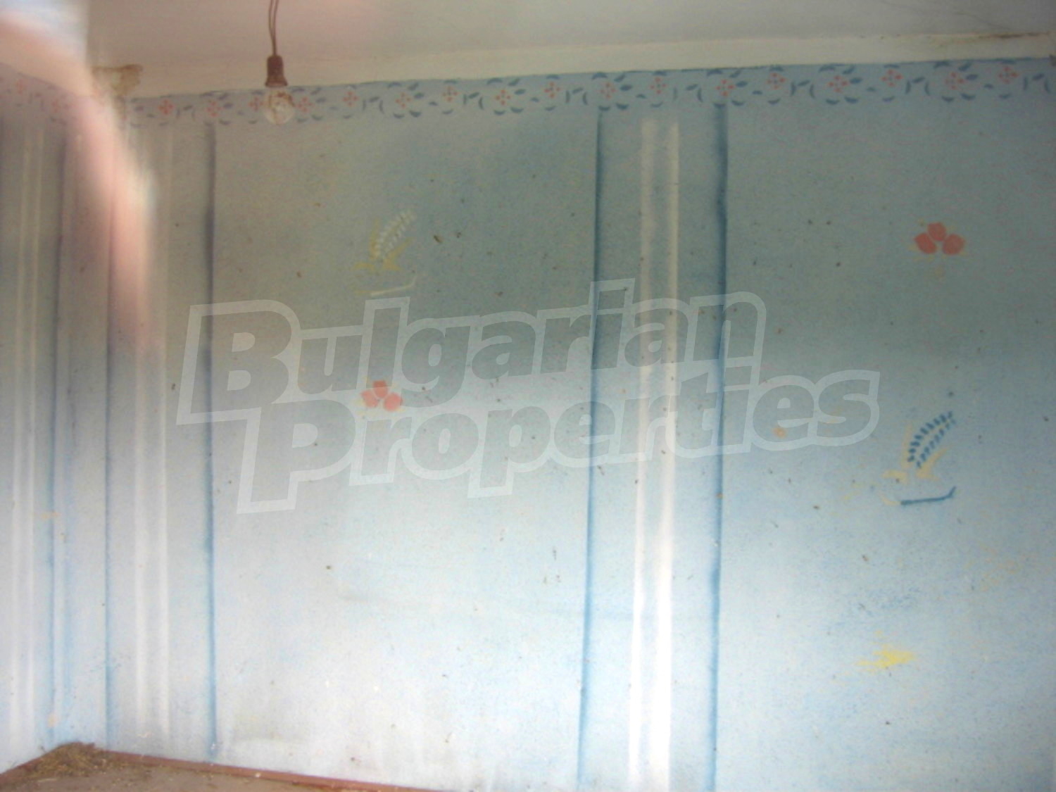Gallery Picture 21