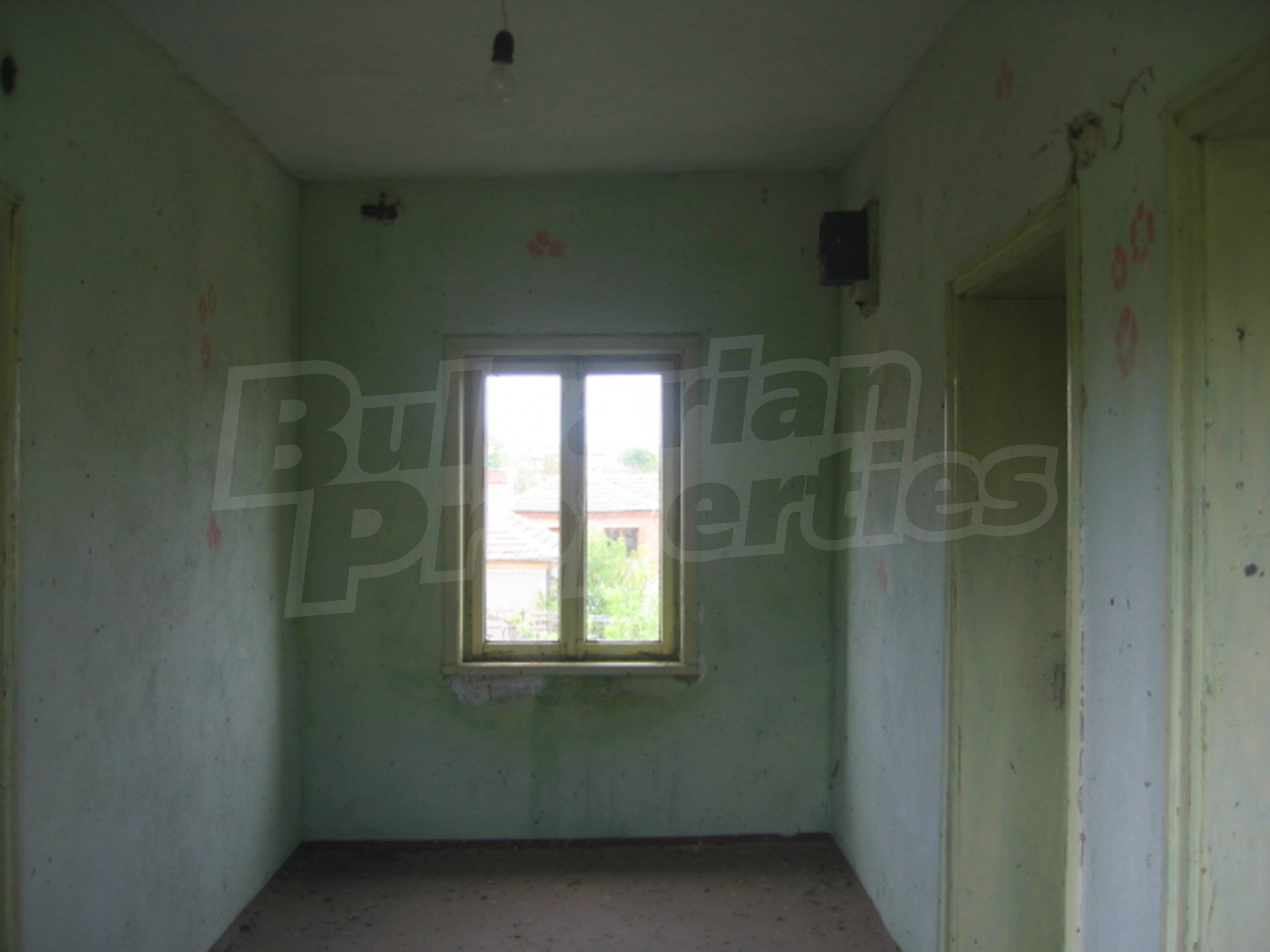 Gallery Picture 22