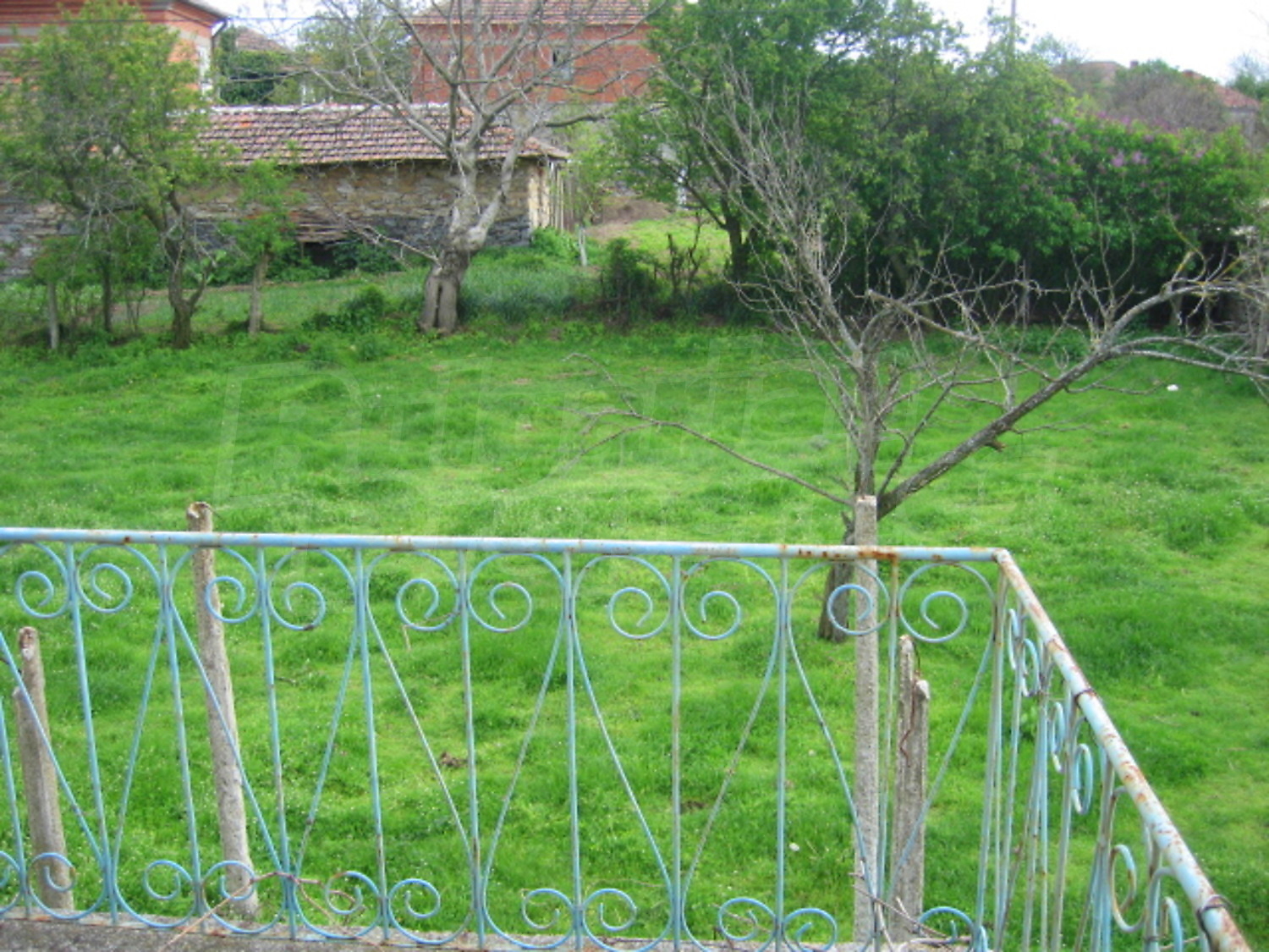 Gallery Picture 24