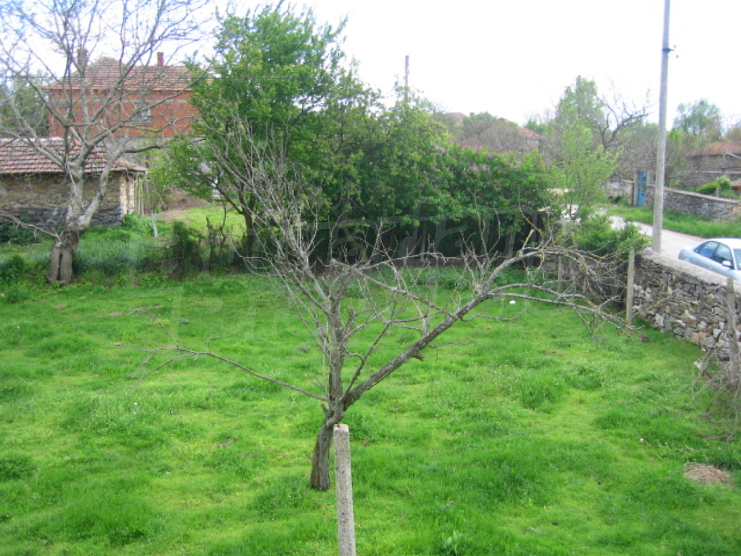 Gallery Picture 26