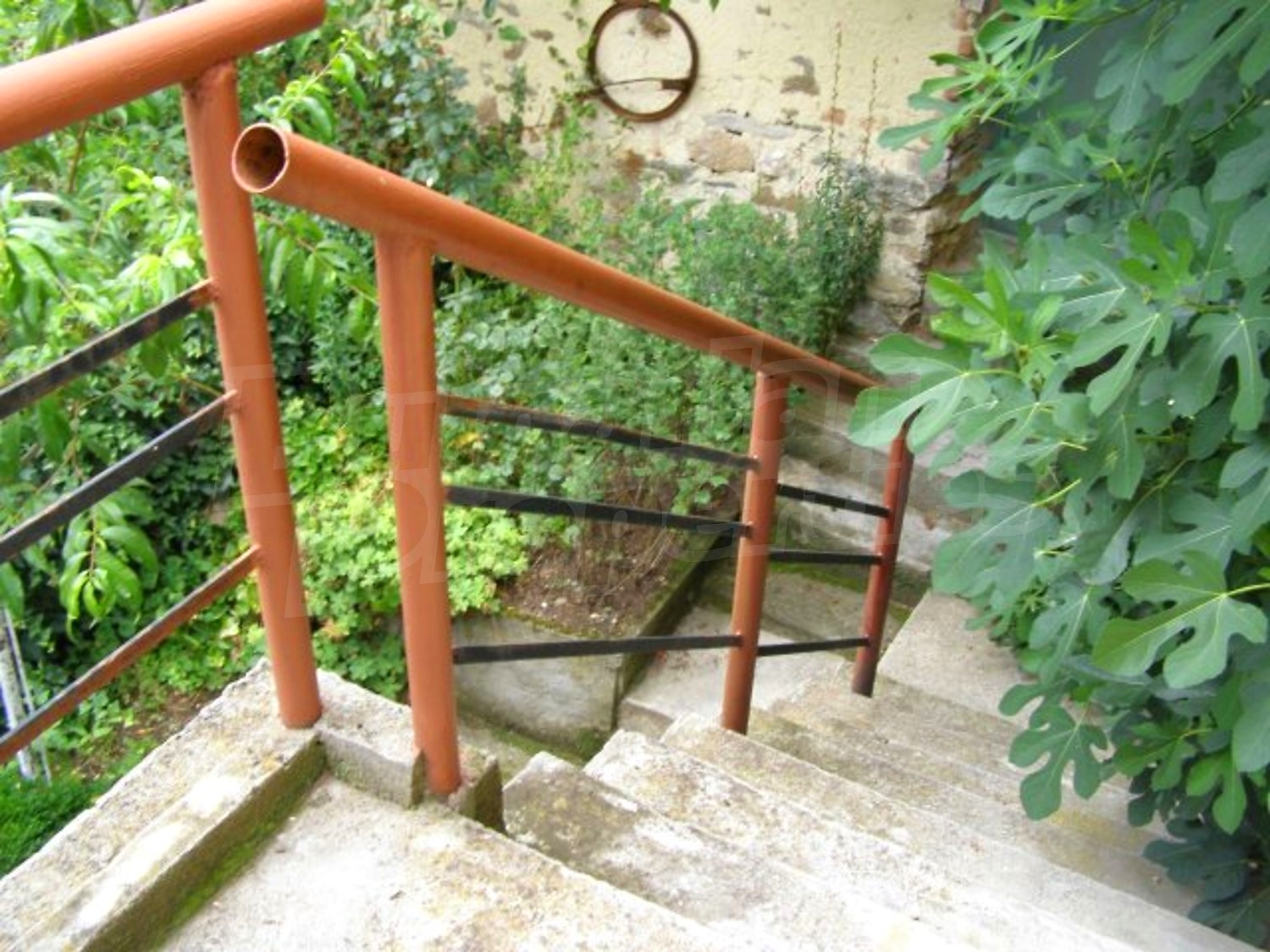 Gallery Picture 12