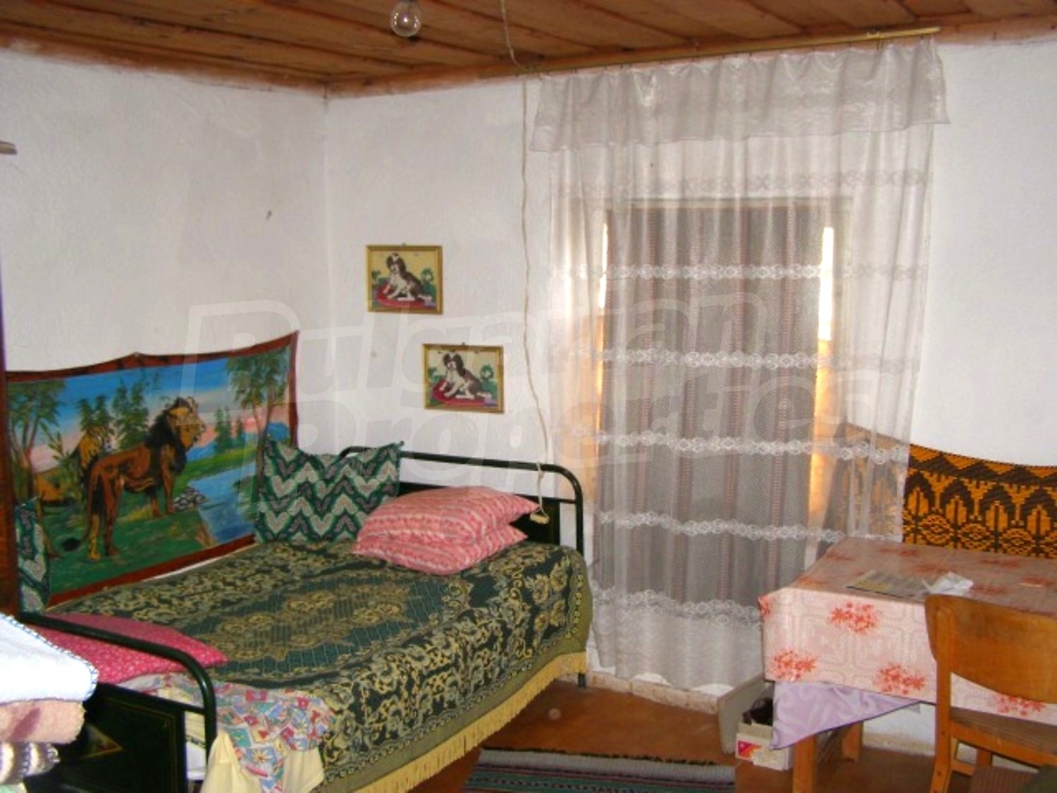 Gallery Picture 16