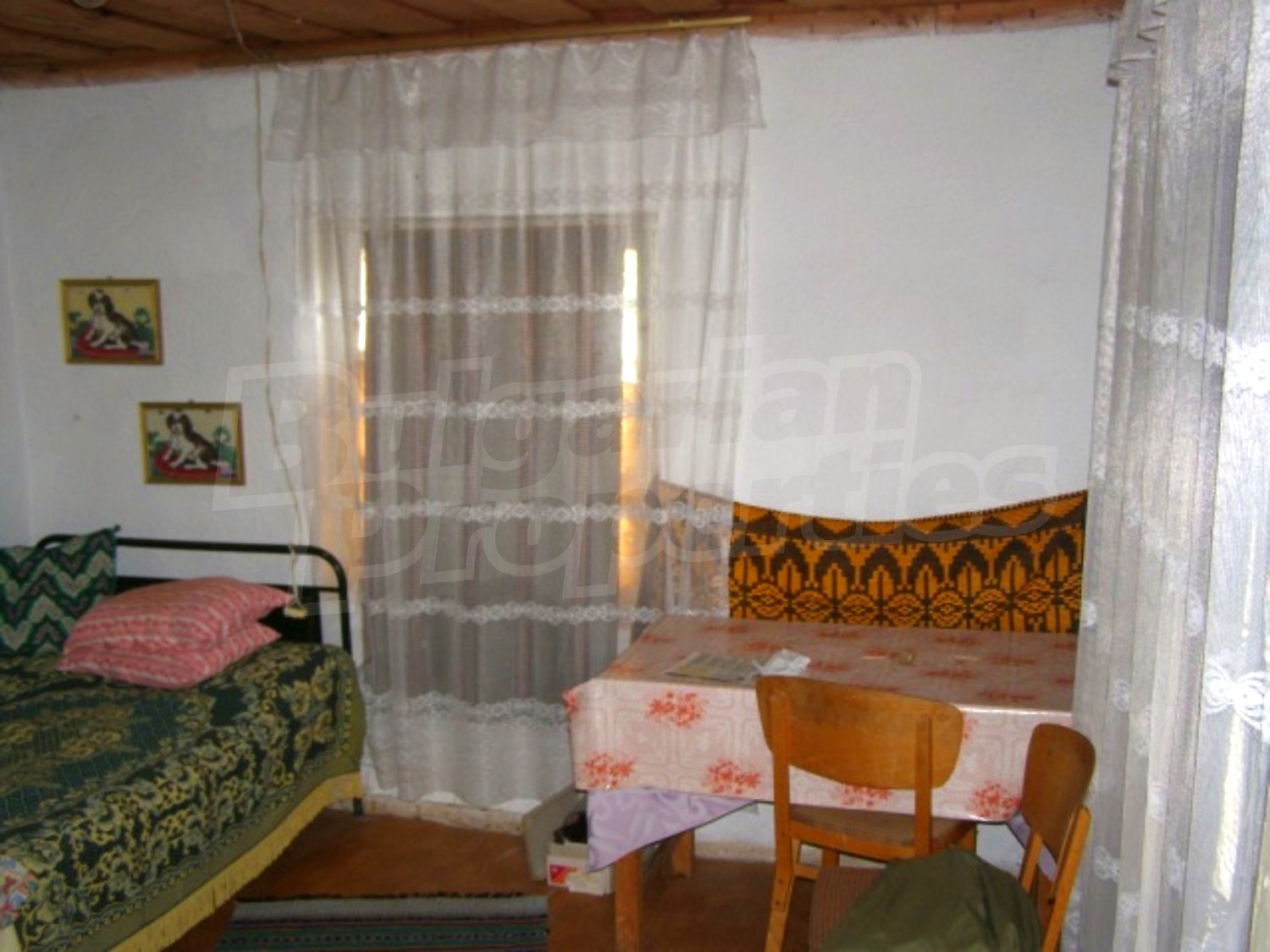 Gallery Picture 17