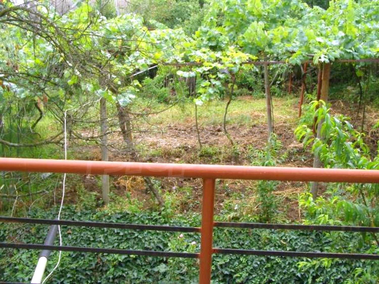 Gallery Picture 21
