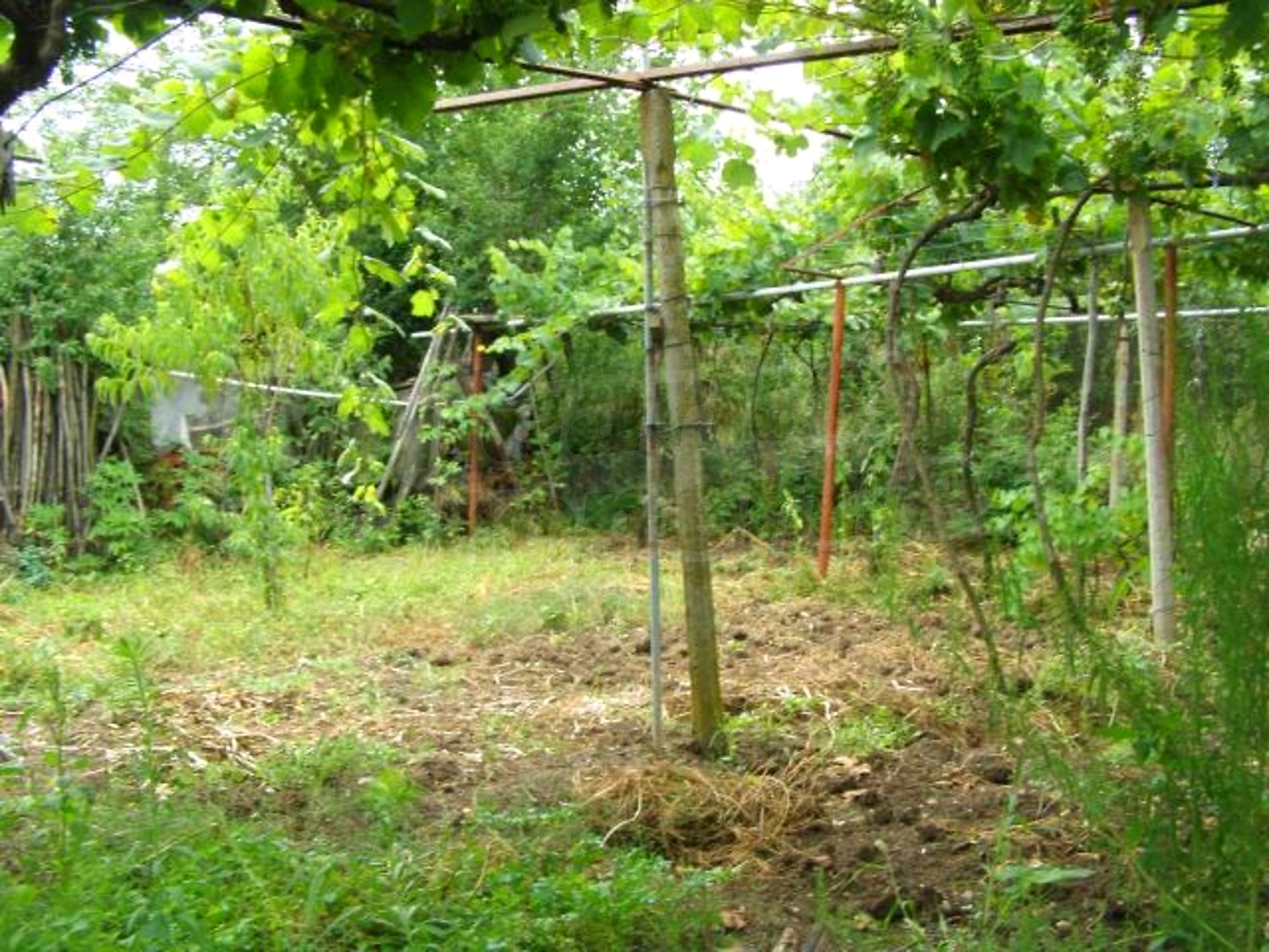 Gallery Picture 24
