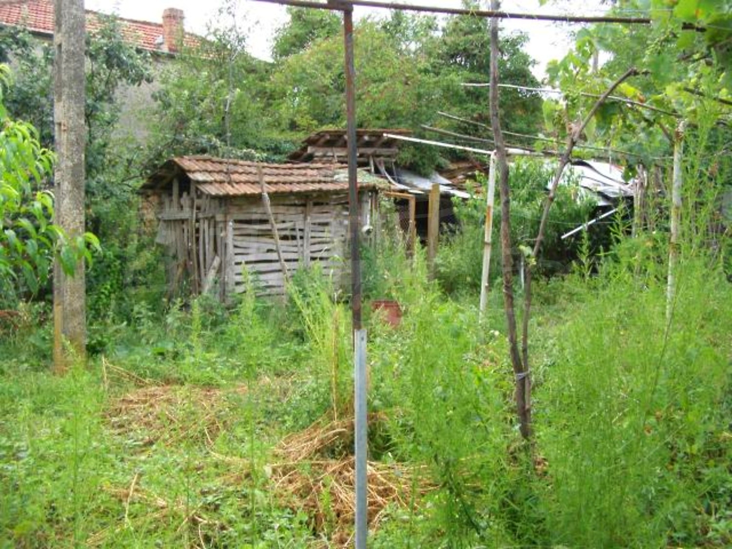 Gallery Picture 27