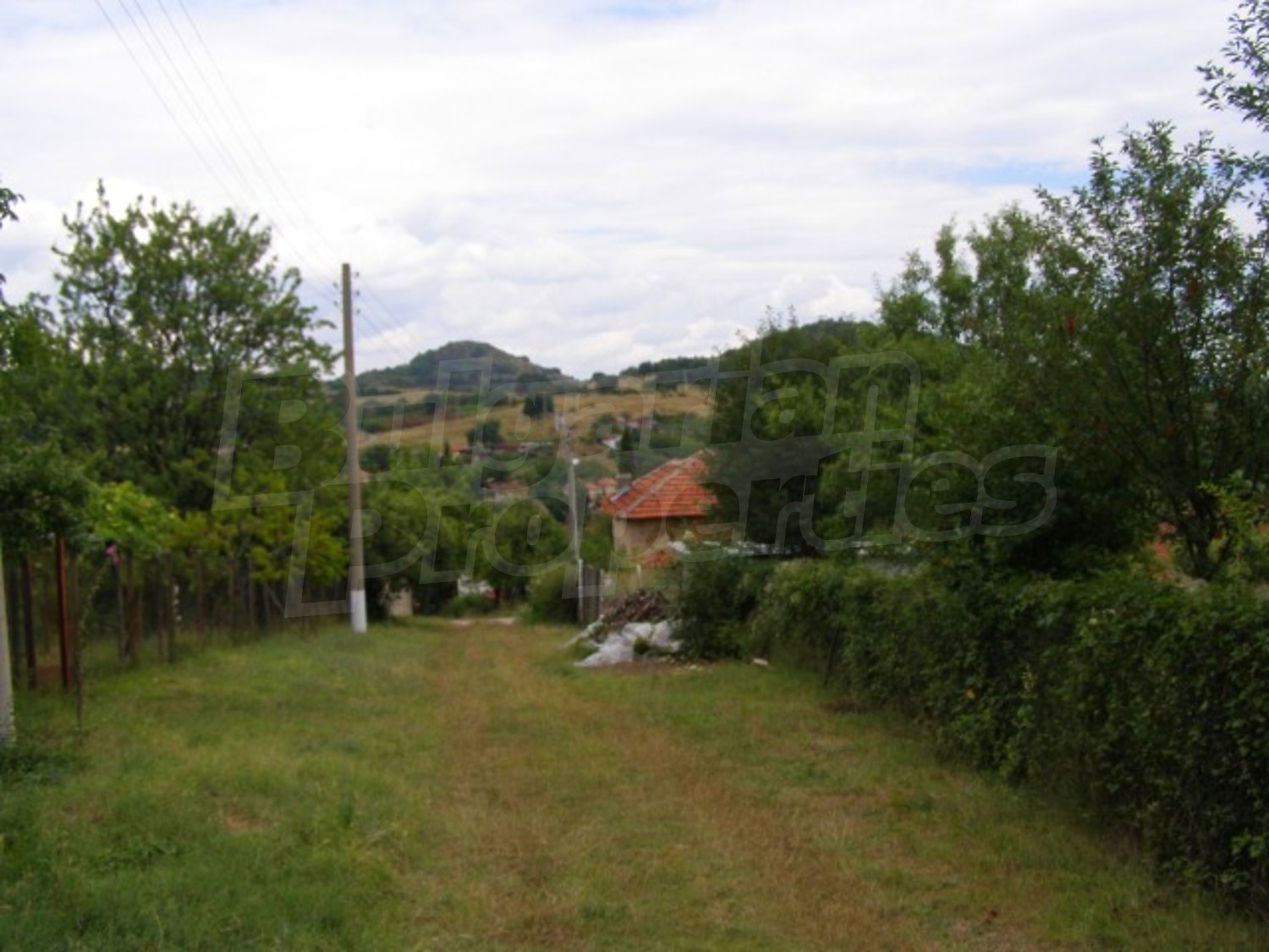 Gallery Picture 28
