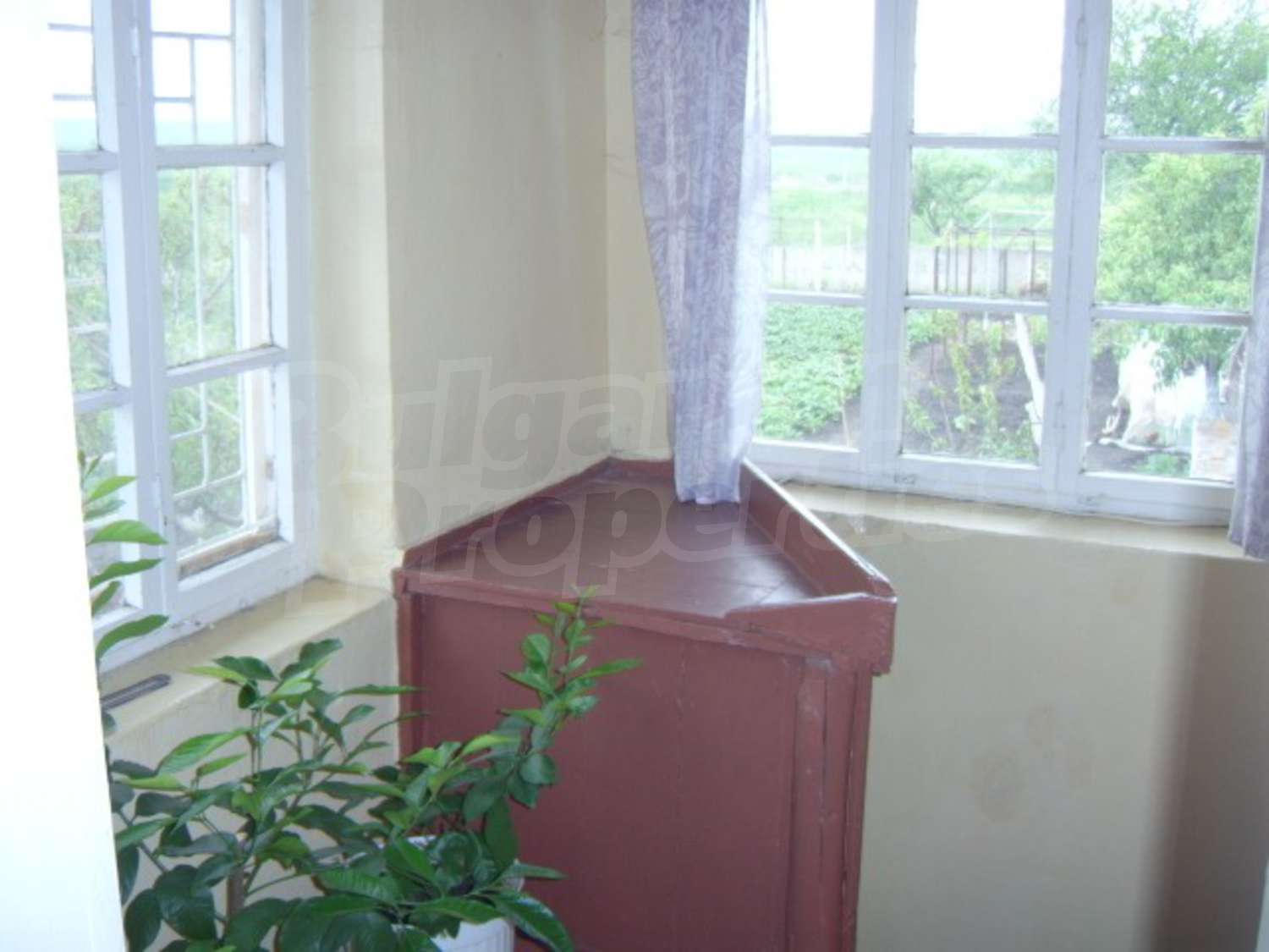 Gallery Picture 12