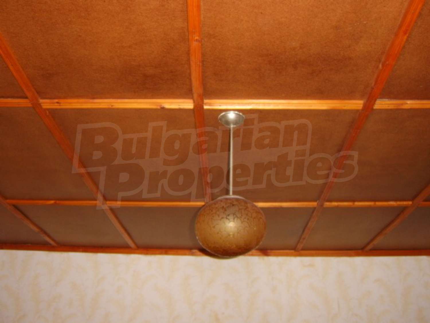 Gallery Picture 16