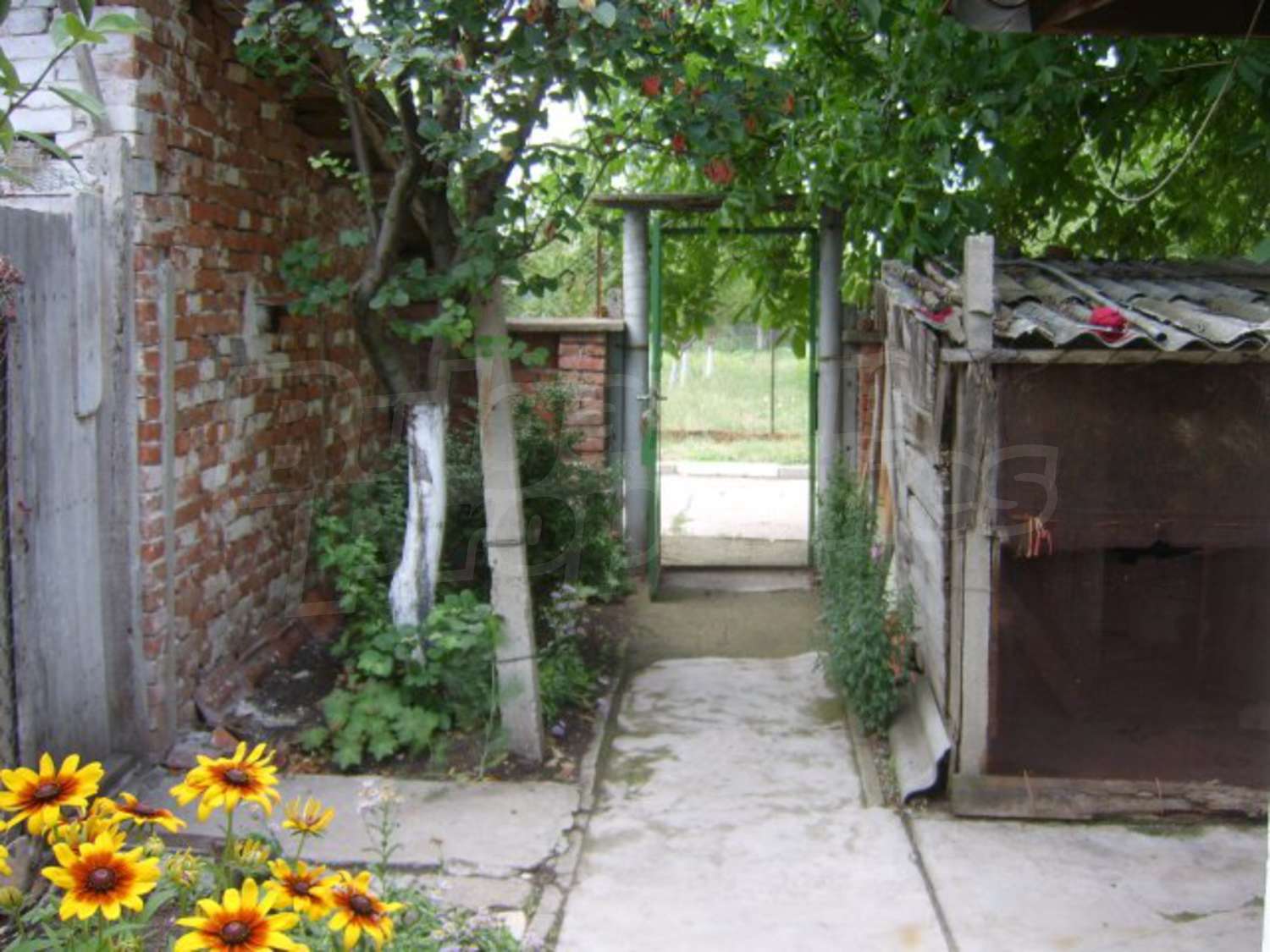 Gallery Picture 23