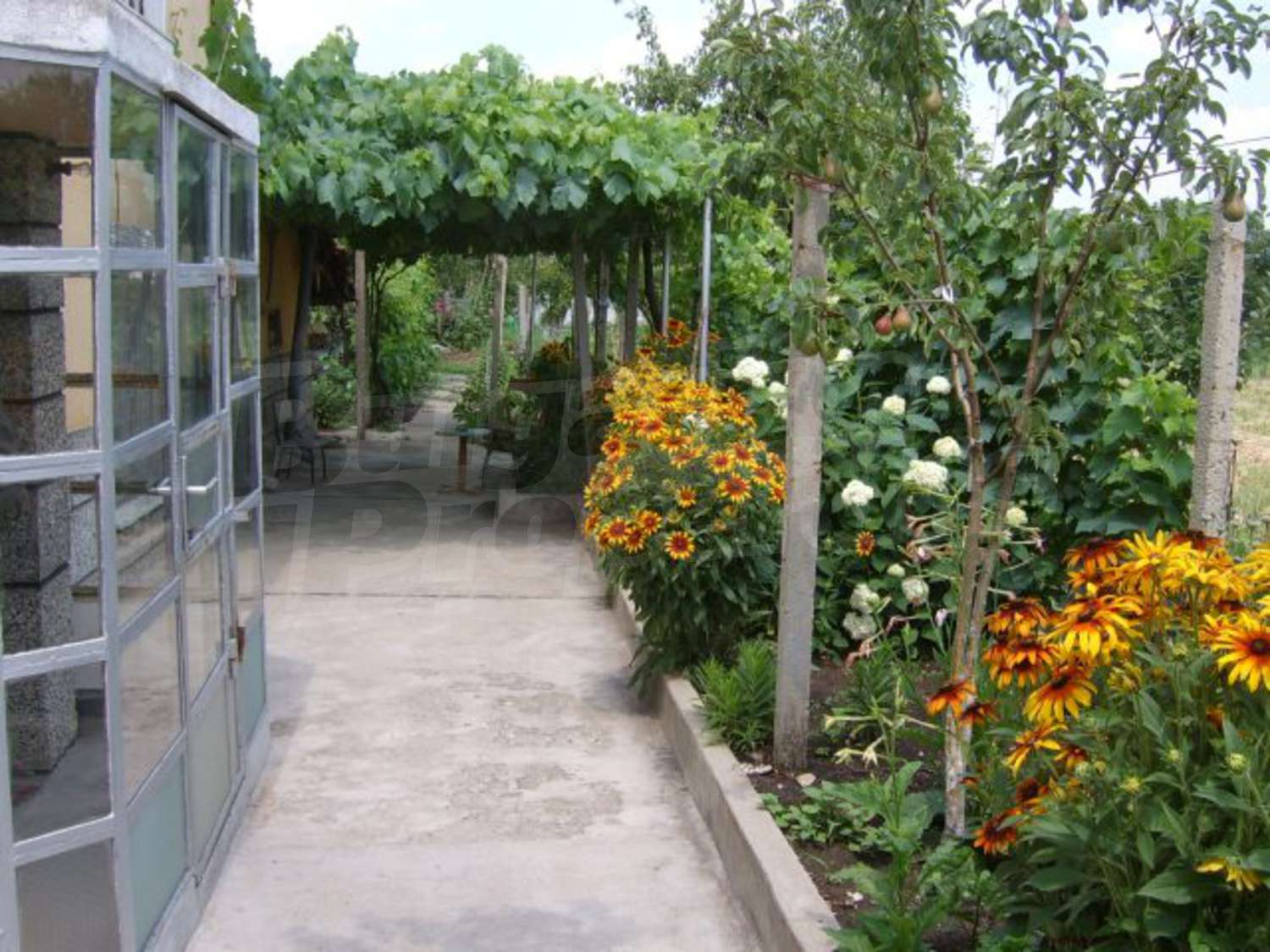 Gallery Picture 24