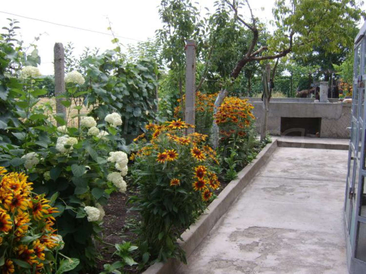 Gallery Picture 25