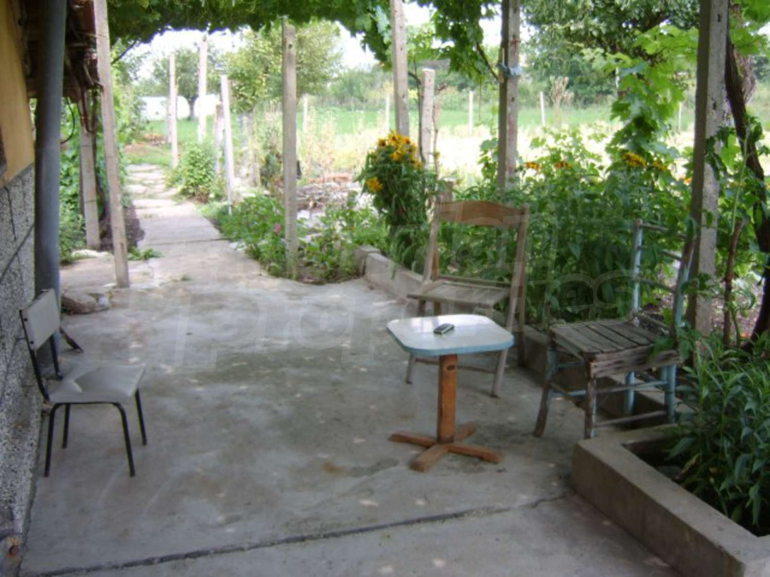 Gallery Picture 26