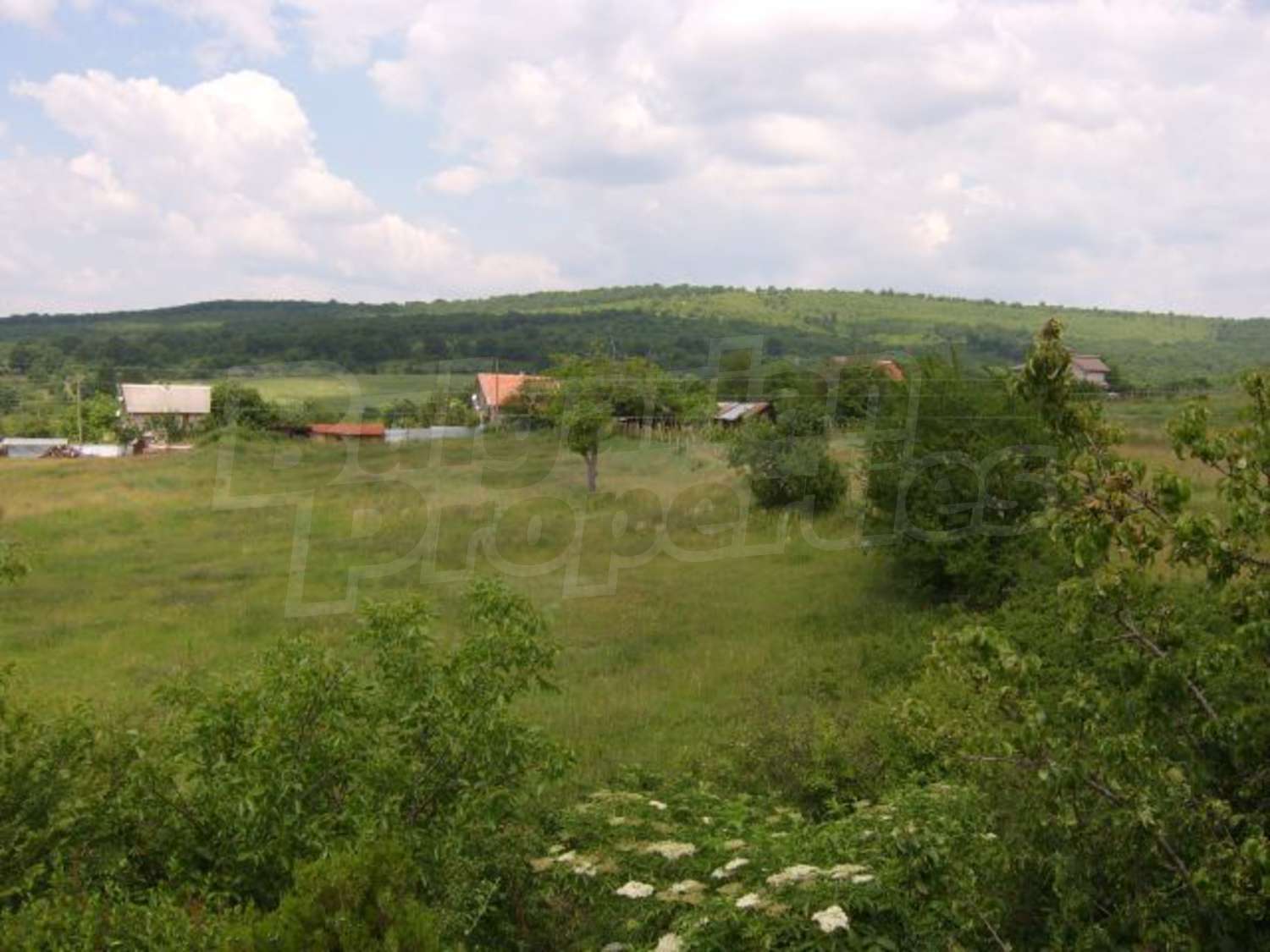 Gallery Picture 30