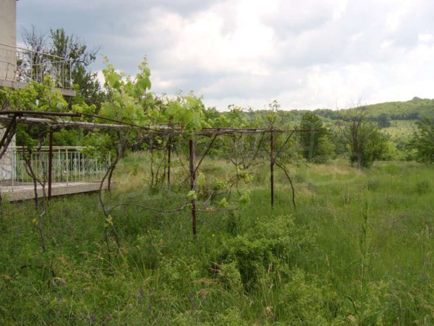 Gallery Picture 32