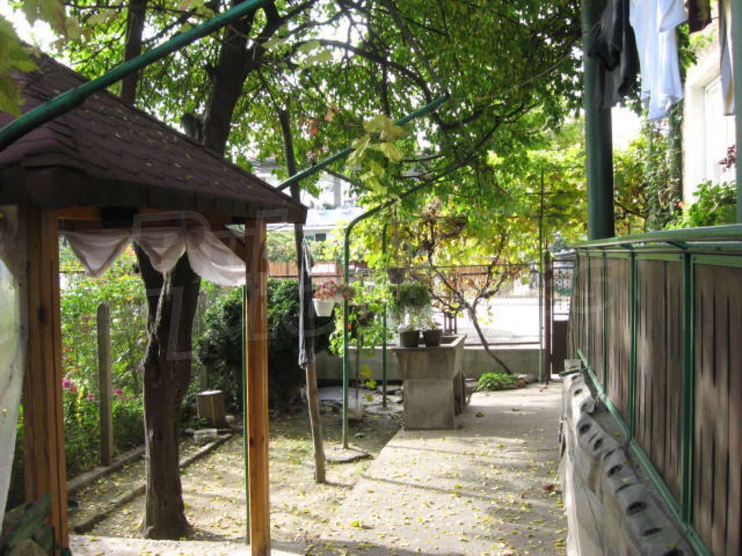 Gallery Picture 10