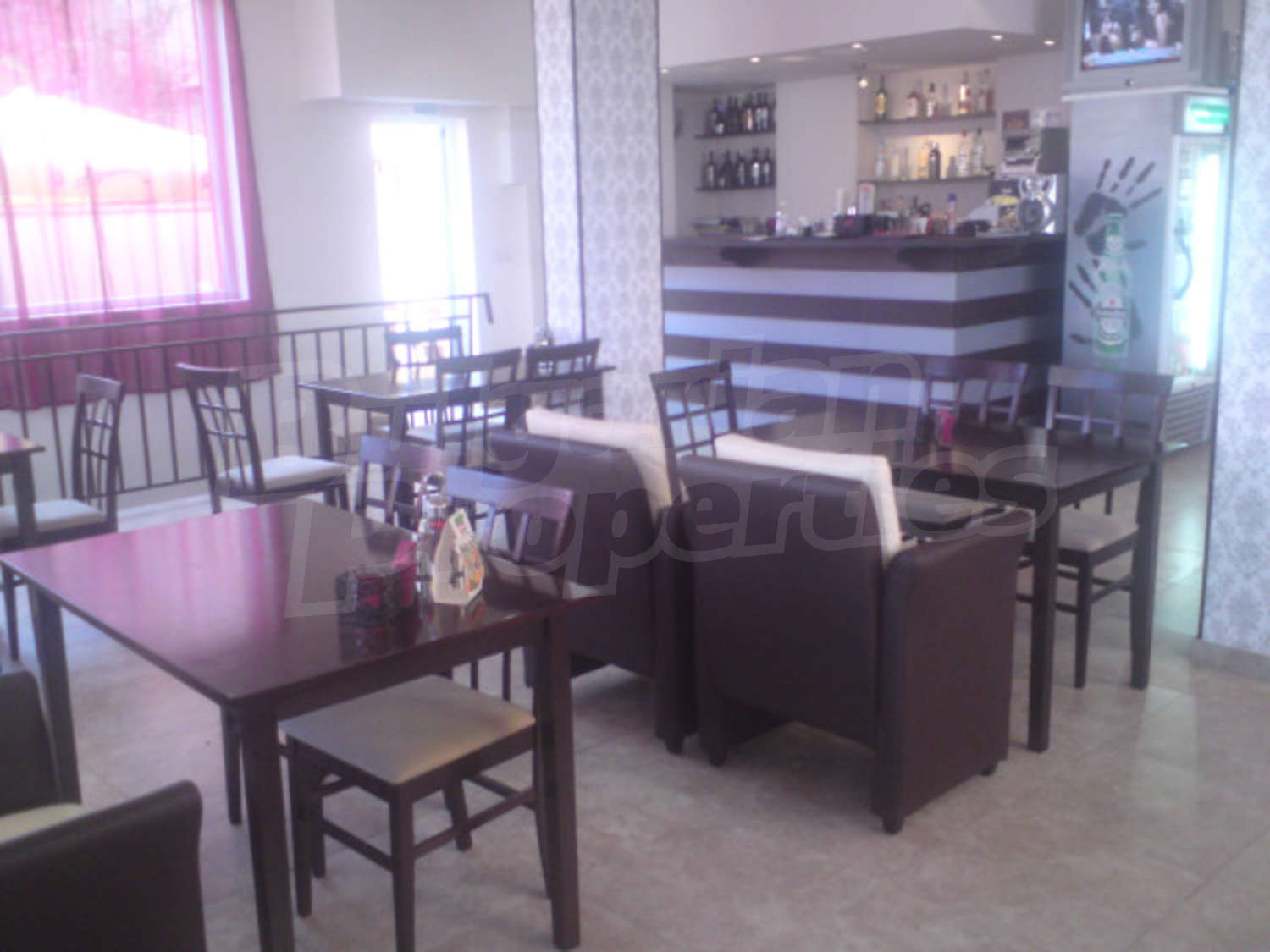 Gallery Picture 3