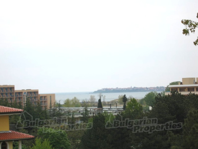 Gallery Picture 17