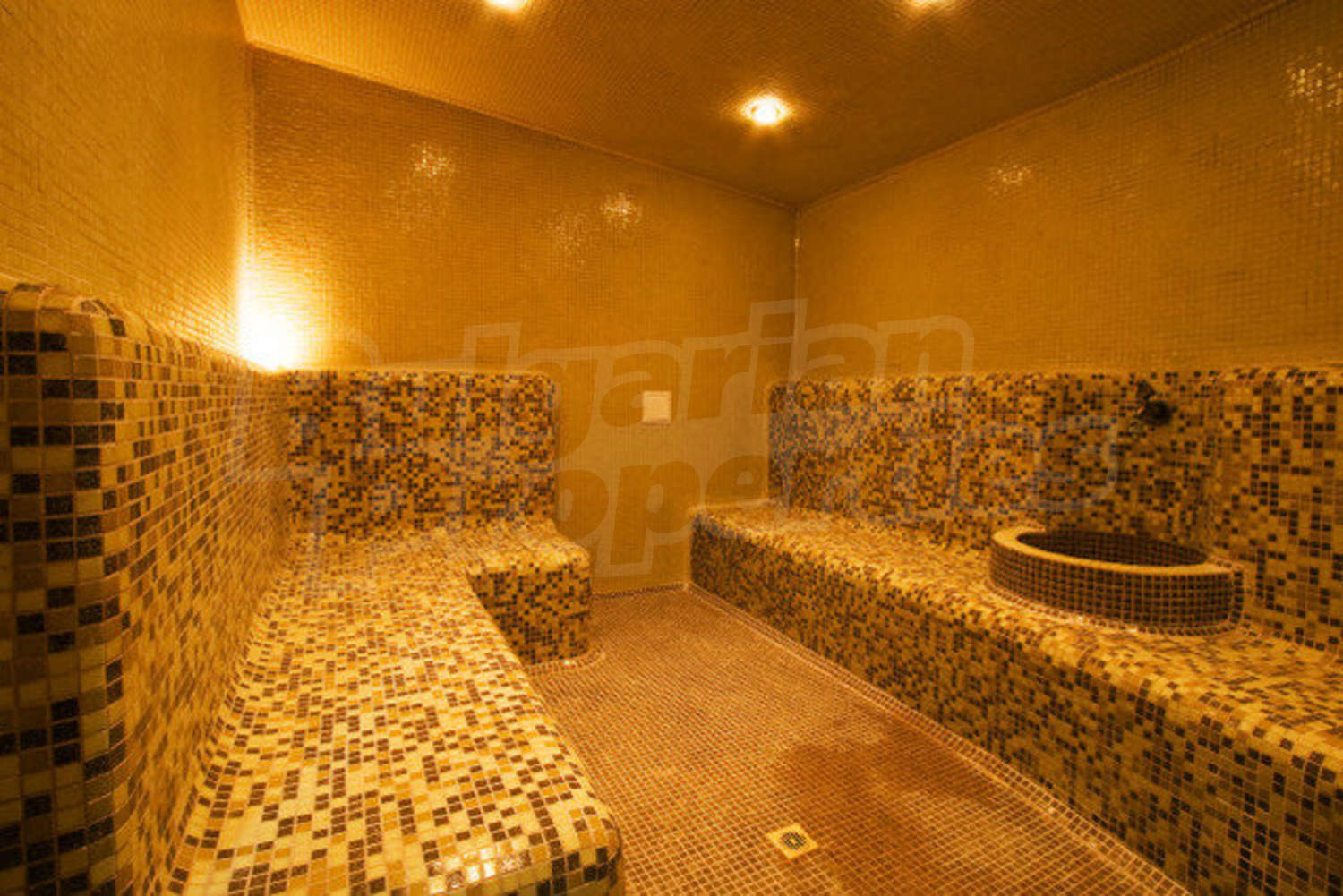 Gallery Picture 13