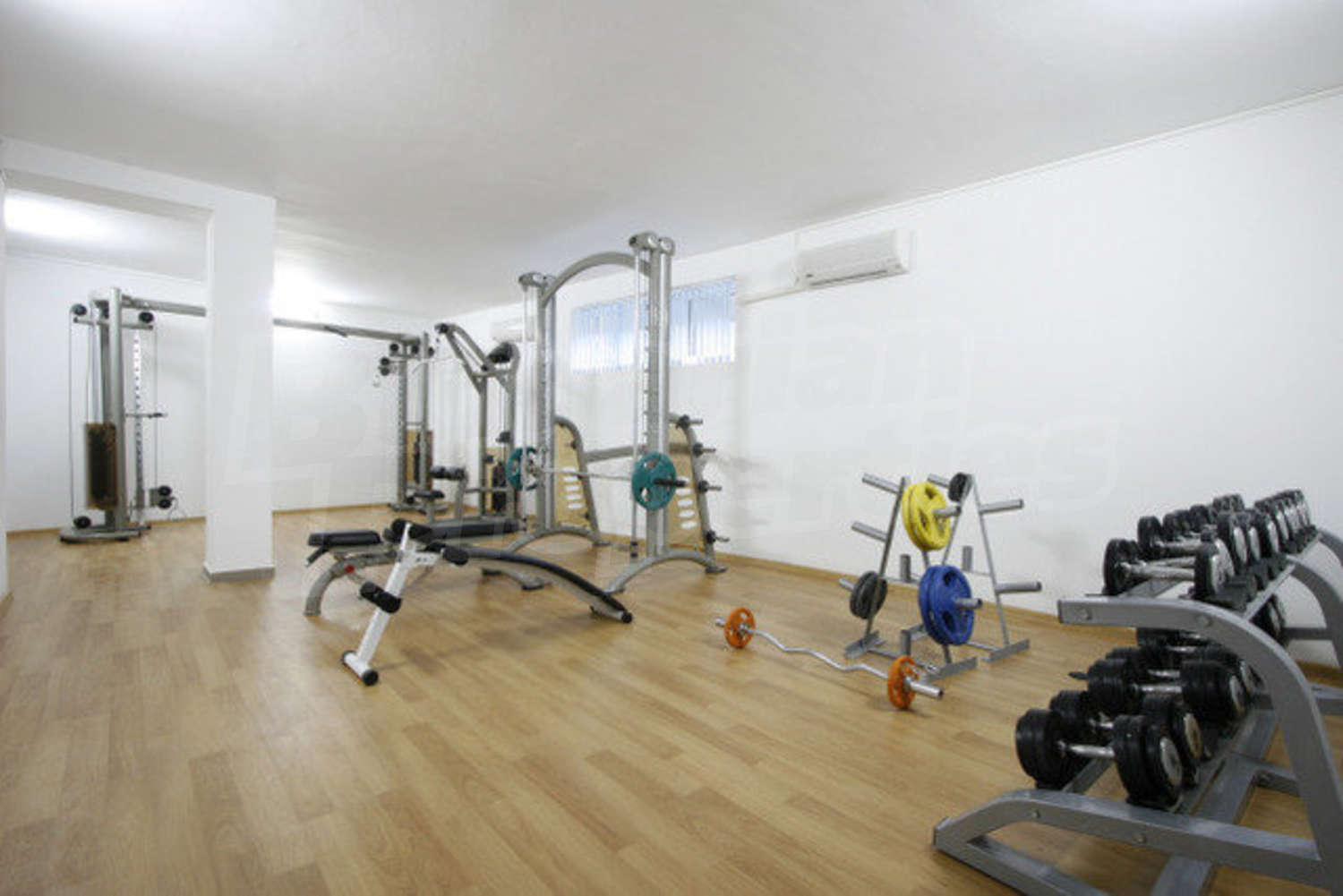 Gallery Picture 16