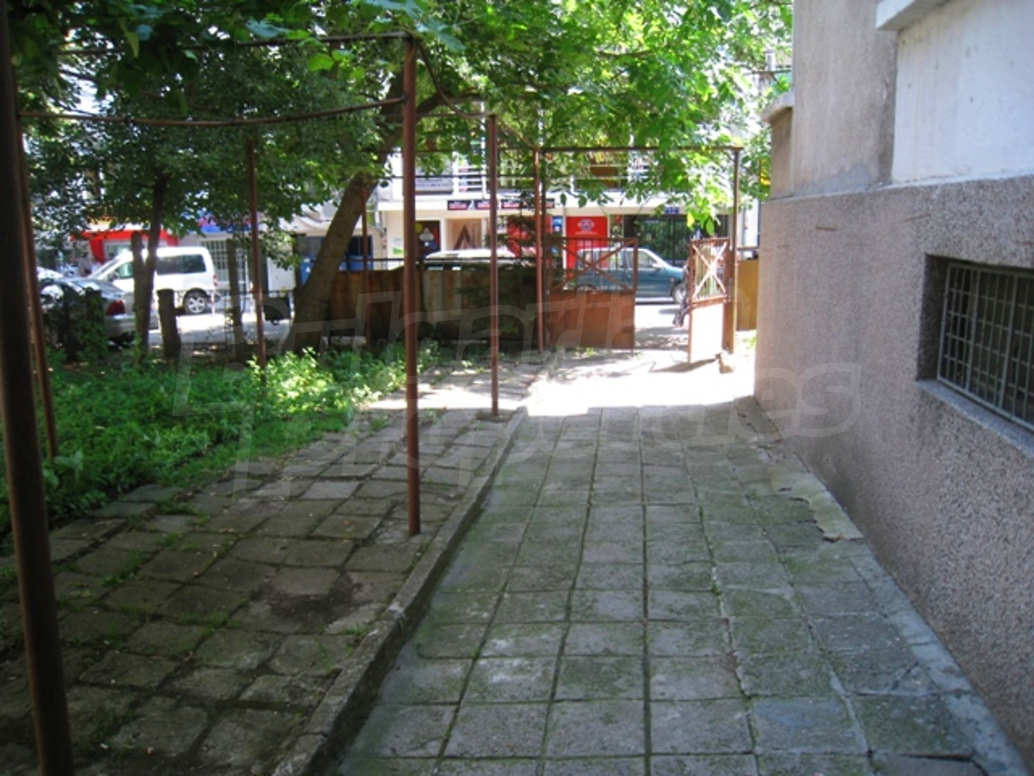 Gallery Picture 3