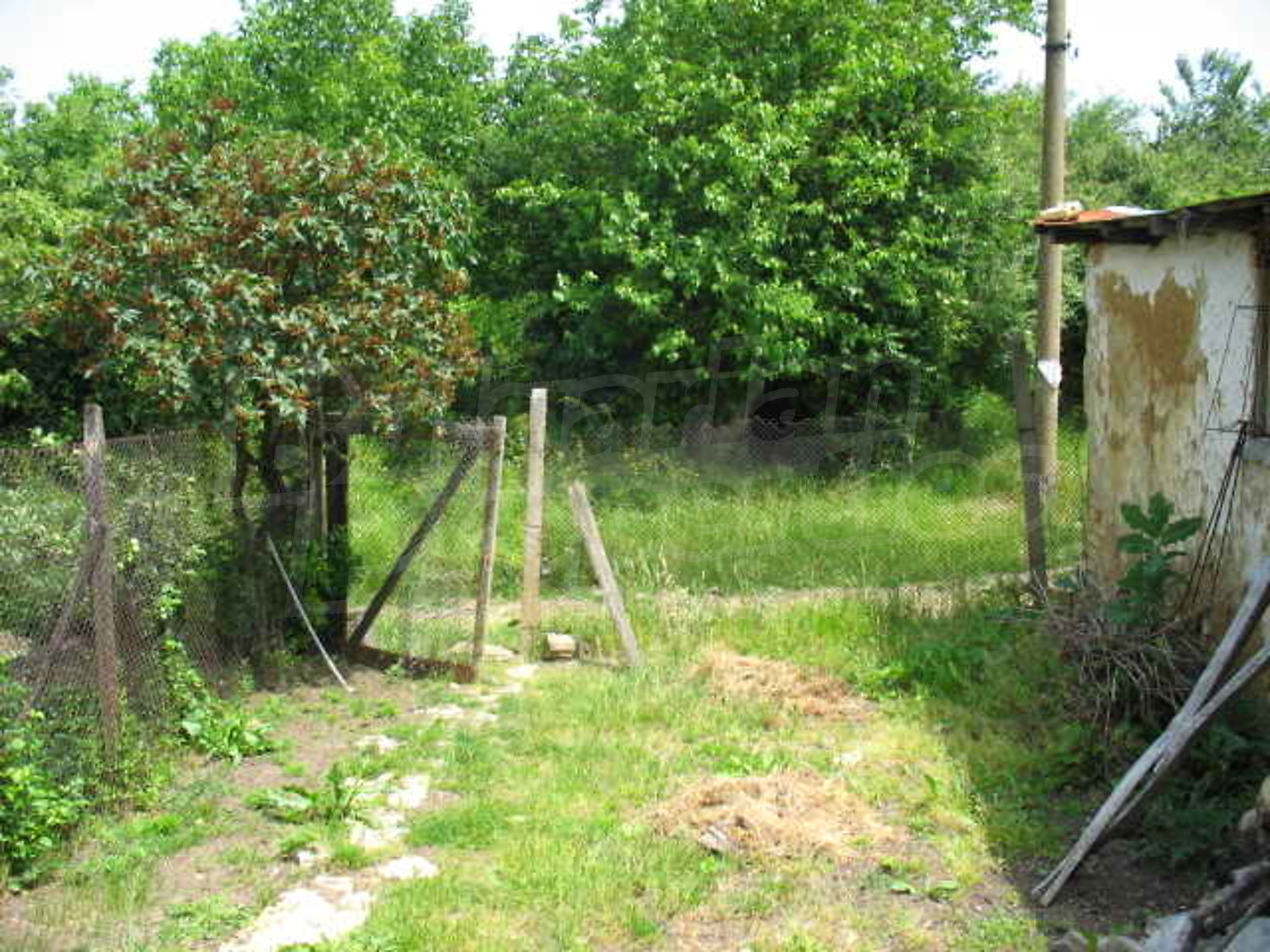 Gallery Picture 10