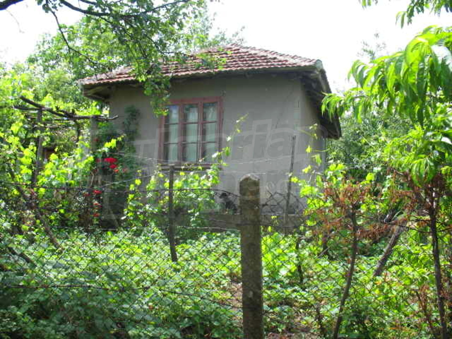 Gallery Picture 2