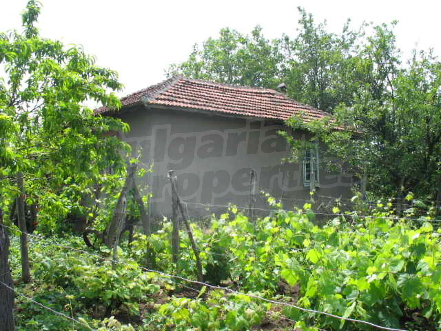 Gallery Picture 3