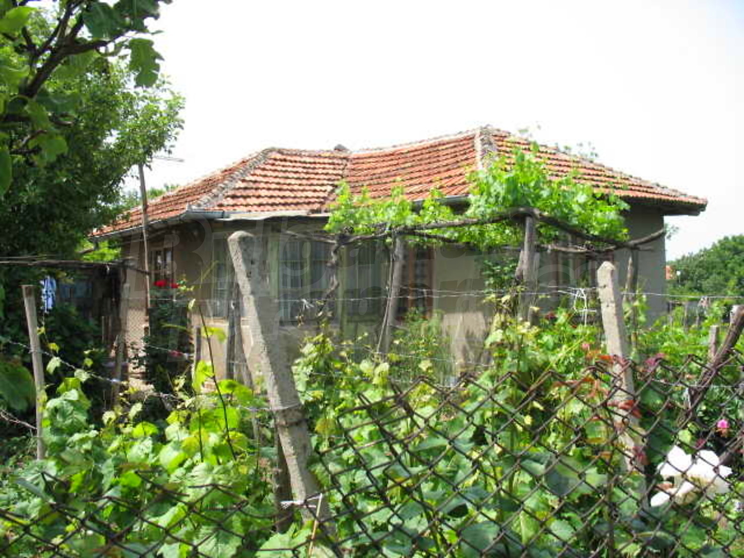 Gallery Picture 4