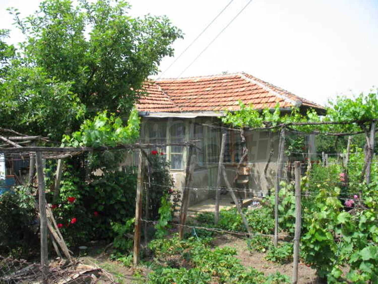 Gallery Picture 5