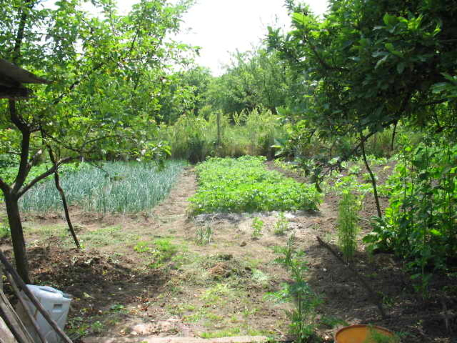 Gallery Picture 6