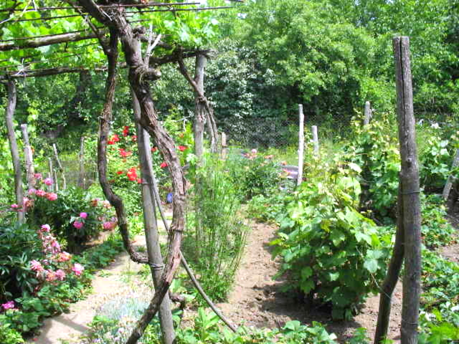 Gallery Picture 7